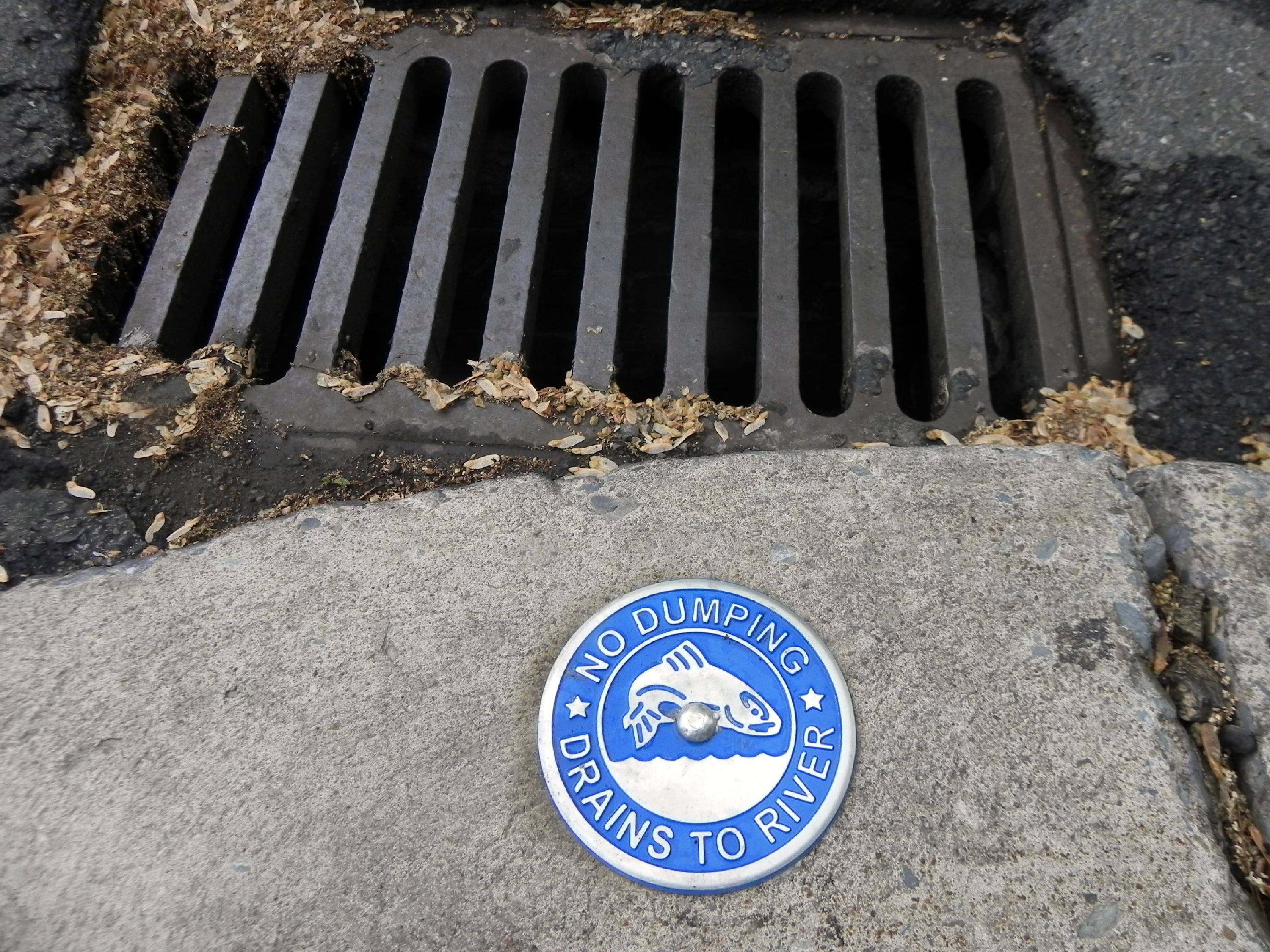 Storm drain marker 3